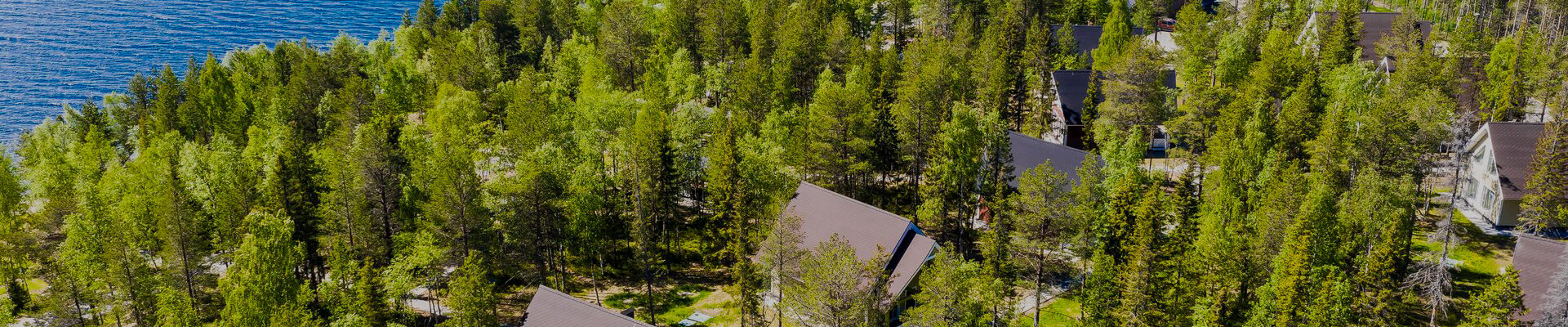 База отдыха «Лесная»